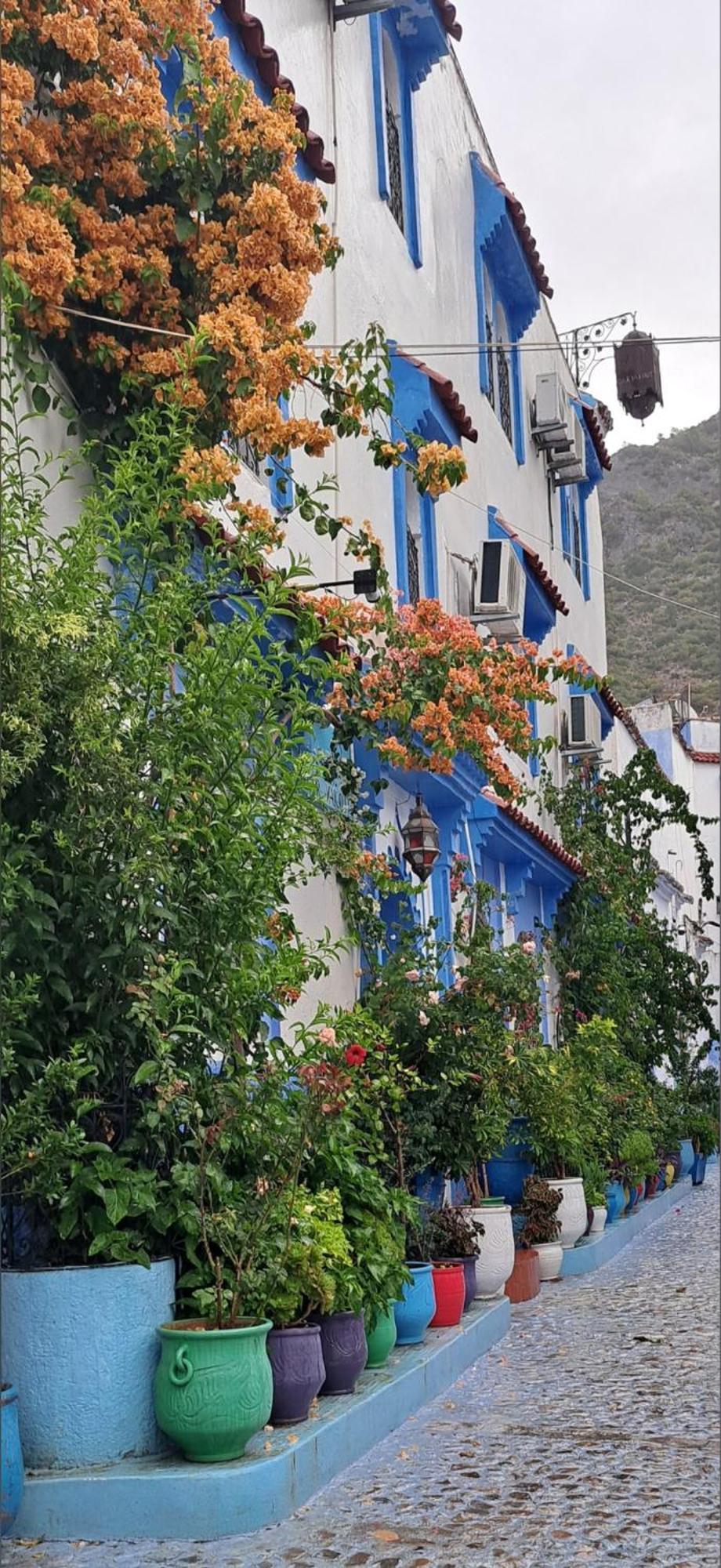 Dar Yakout Hotell Chefchaouen Exteriör bild